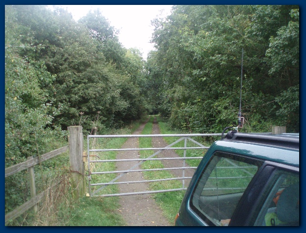 600x449 pixels (167K)